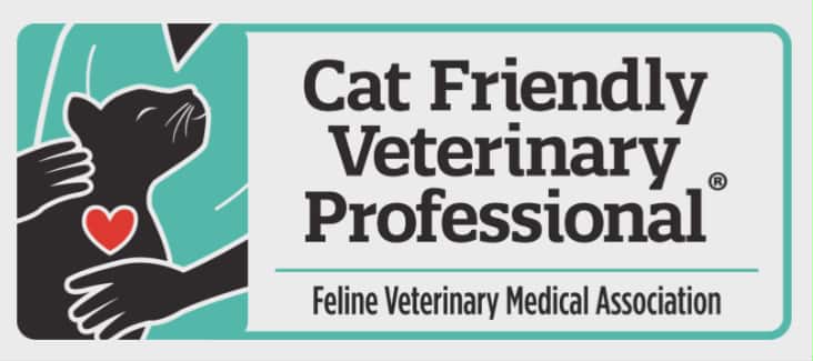 Cat Friendly Professional